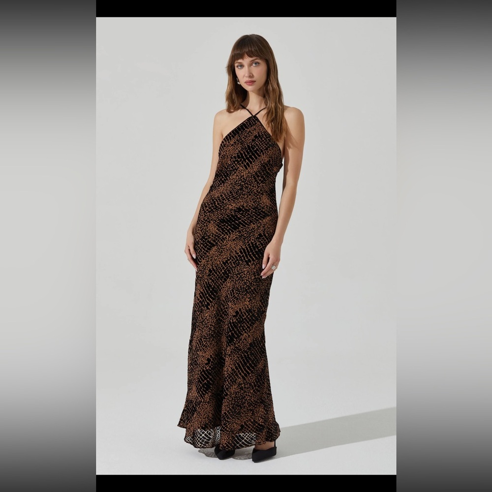 ASTR THE LABEL BRIOTTE VELVET BURNOUT MAXI DRESS